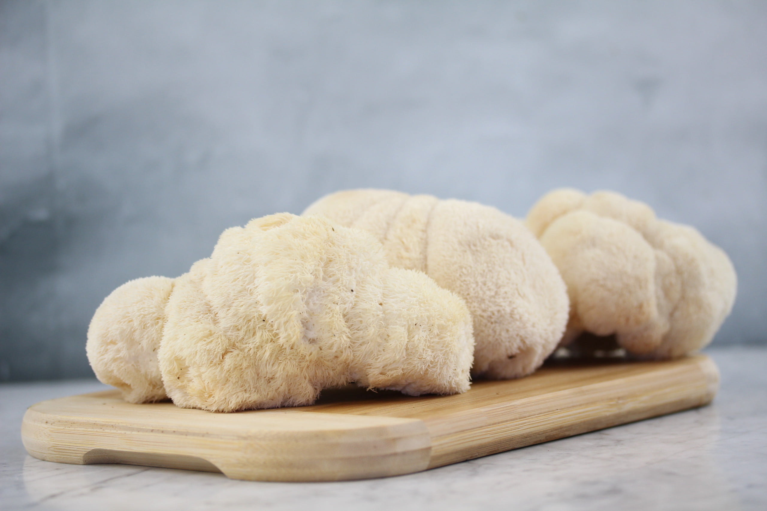 Exploring the Cognitive Benefits of Lion’s Mane Mushroom